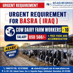 job opportunity in Barsa (Iraq)